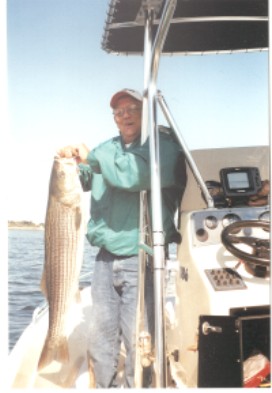 bruce galeucia