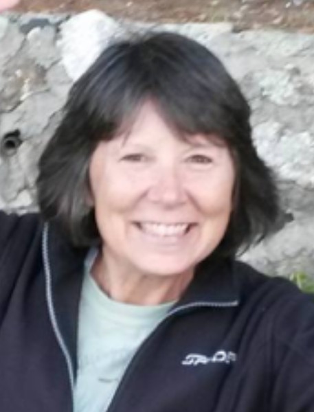 susan pepin