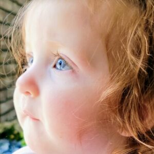 paislee oak Gallery