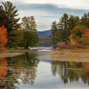 glen ridley Gallery