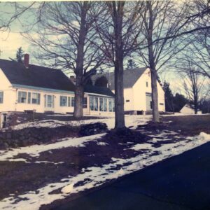 frances torno Gallery