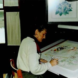 nancy coutts Gallery
