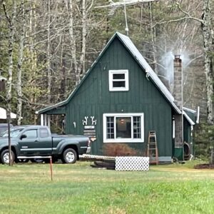 dana michaud Gallery
